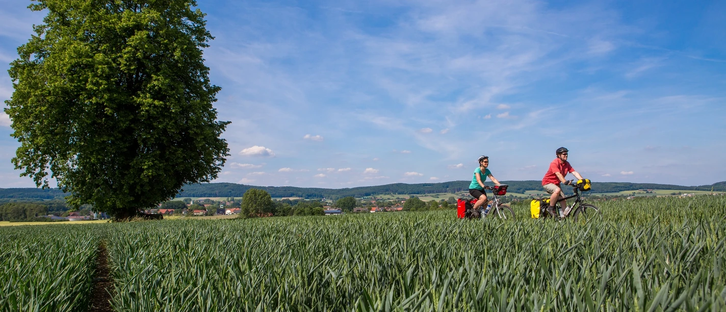 Sommerliche Landschaft im Osnabrücker Land