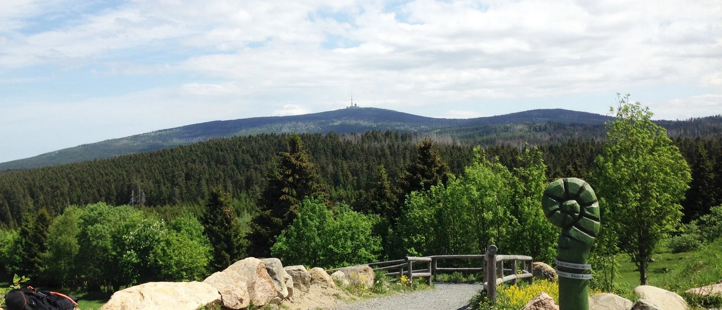Blick zum Brocken vom Torfhaus