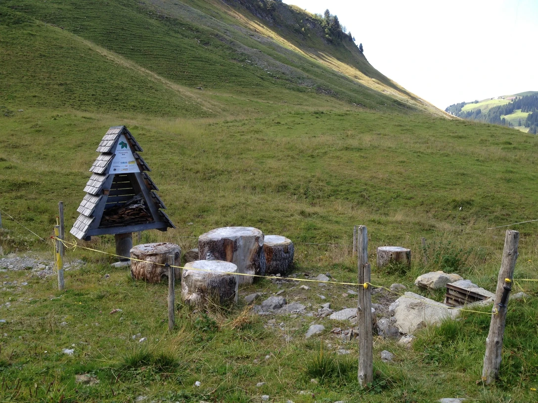 Feuerstelle Tipi-Dorf Biel