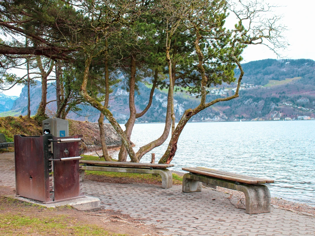 Feuerstelle Steinibachdelta