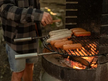 Grillieren im Waldpark Morschach
