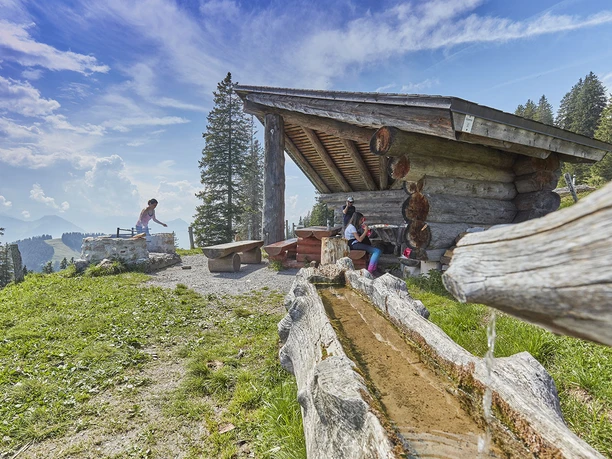 Gruebi Chäserenholz_01