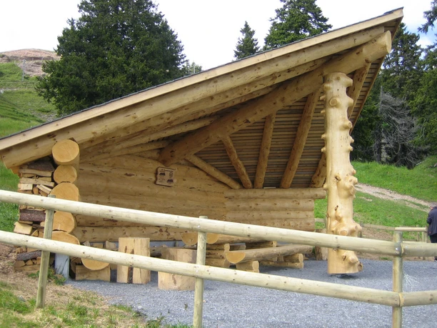 Gruebi Schinenfluh_bearb