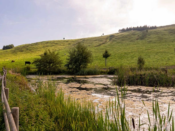 Seebodenalp 1 1920x1080 1