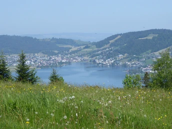 Morgartenberg - Blick auf den Ägerisee