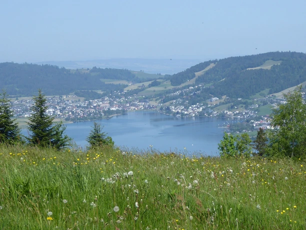 Morgartenberg - Blick auf den Ägerisee