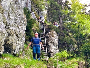 Leiter zwischen Gersauer/Vitznauer Stock und Fälmisegg