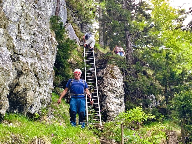 Leiter zwischen Gersauer/Vitznauer Stock und Fälmisegg