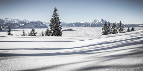 Unterwegs Richtung Rigi First