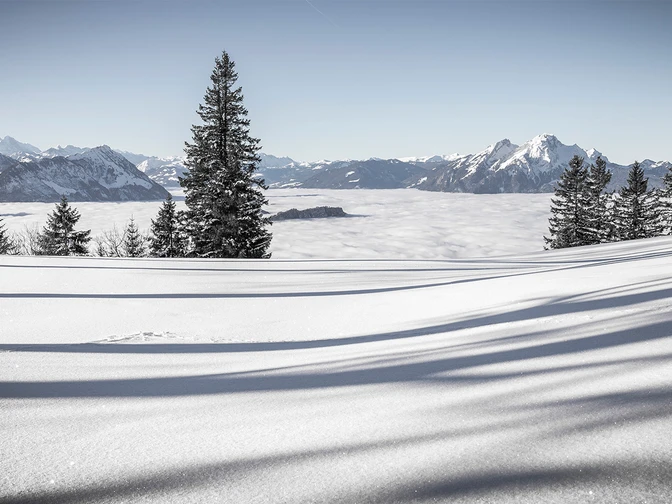 Unterwegs Richtung Rigi First