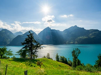 Wanderung mit Aussicht in Sisikon am Urnersee