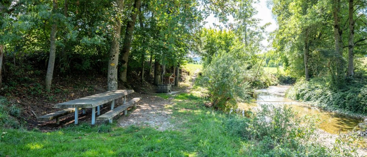 Feuerstelle Sagenweg Schachen bei Luthern