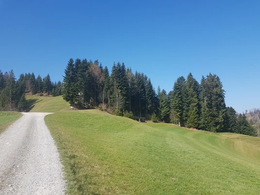 Rechts am Waldrand liegt der Picknickplatz Palmegg