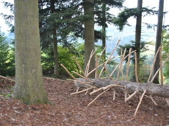 Feuerstelle Ofenloch Rutsche