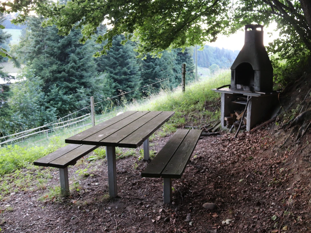 Feuerstelle Hinter Säge Hergiswil