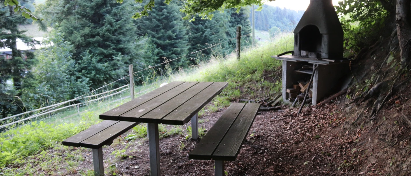 Feuerstelle Hinter Säge Hergiswil