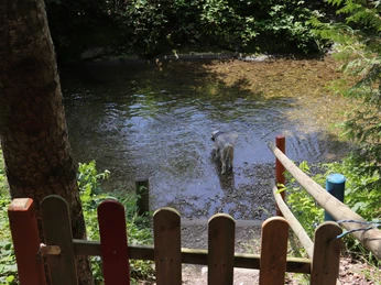 Feuerstelle Chrüterhäxli-Lilli-Brunnen Hergiswil