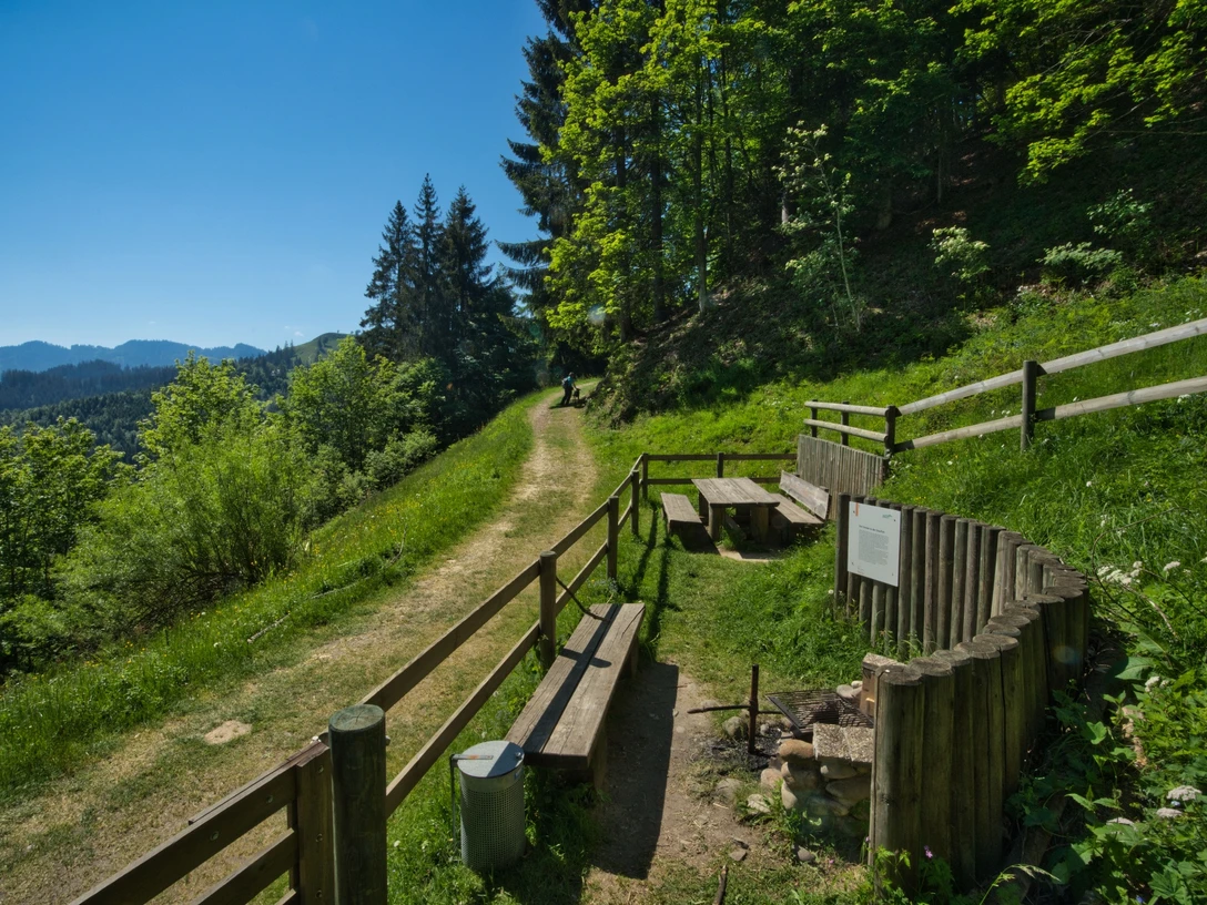 Feuerstelle Luthern - "Seppi a de Wegere"