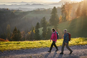 Auf dem Grenzpfad Napfbergland