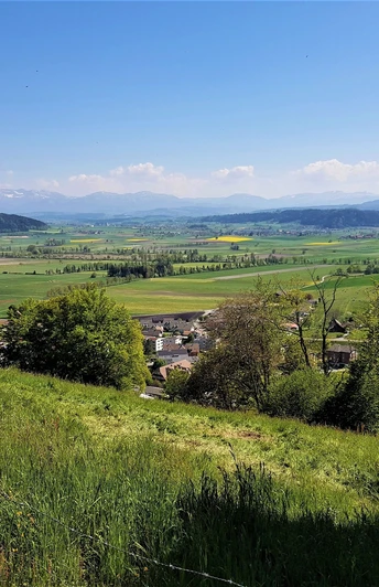 Aussicht vom Egolzwilerberg 629m