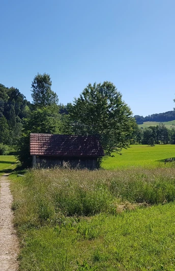 Wässermatten mit einem der typischen Hüttli