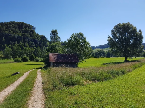 Wässermatten mit einem der typischen Hüttli