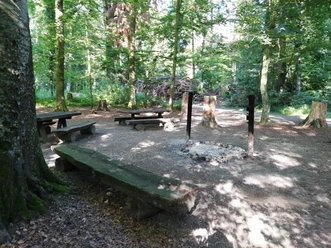 Fahrwangen, Buchholz