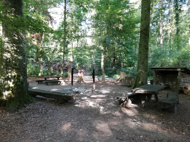 Fahrwangen, Buchholz