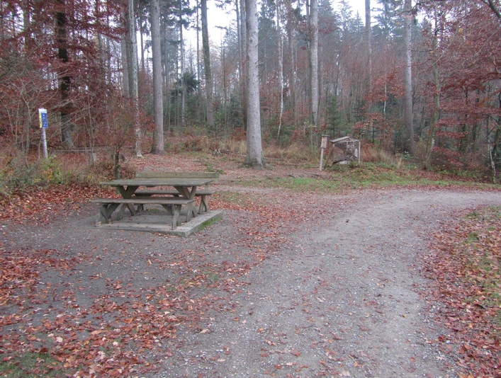 Reinach AG, Holzrain