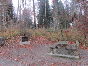 Reinach AG, Holzrain