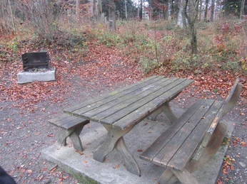 Reinach AG, Holzrain