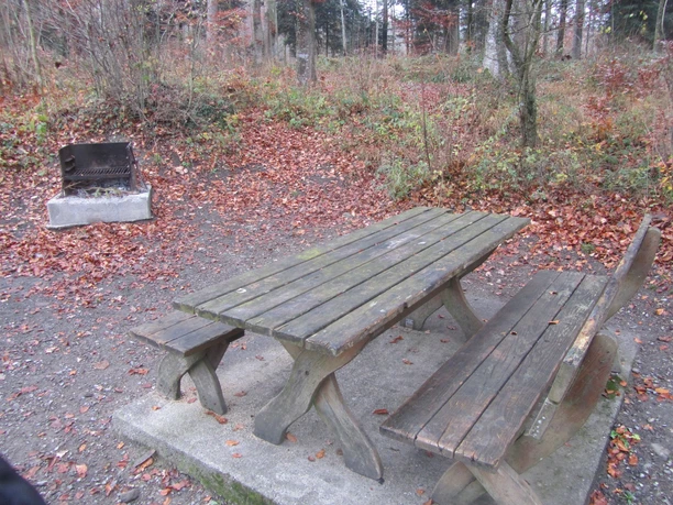 Reinach AG, Holzrain