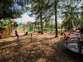 Viele Bäume sorgen für Schatten