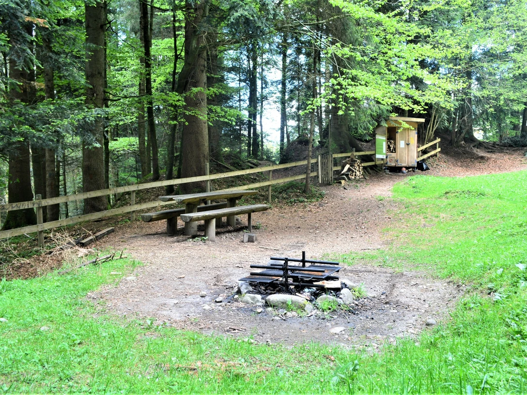 Feuerstelle Waldarena