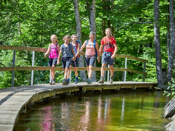 Auf dem Kanalweg zur Plattform Fluss & Wasser