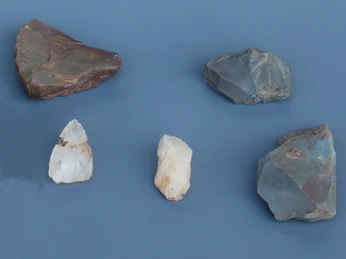 Steigelfadbalm verschiedene Steine_bearb