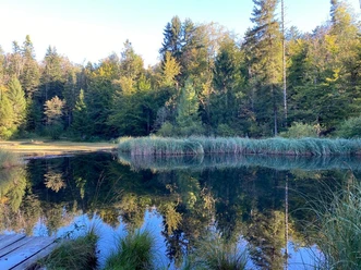 Gerzensee