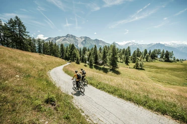 Enduro-Mountainbike in der Aletsch Arena