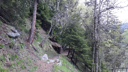 Wanderung vom Fieschertal über Fiesch nach Lax via "Laggeraweg"