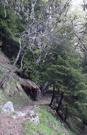 Wanderung vom Fieschertal über Fiesch nach Lax via "Laggeraweg"