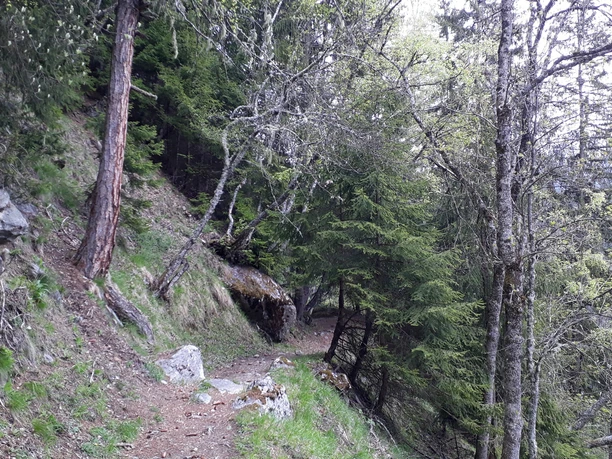 Wanderung vom Fieschertal über Fiesch nach Lax via "Laggeraweg"