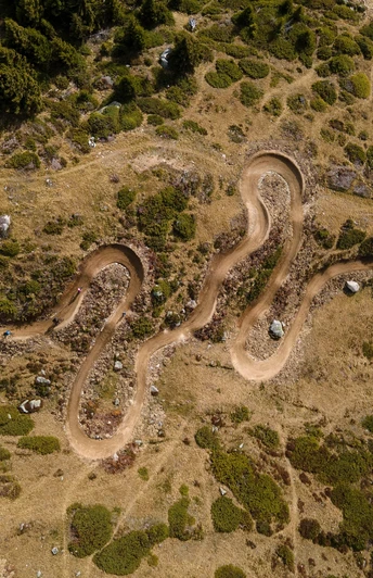 Flowtrail Wurzenbord