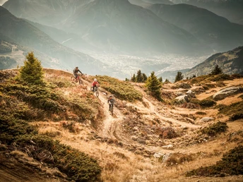 Flowtrail Wurzenbord