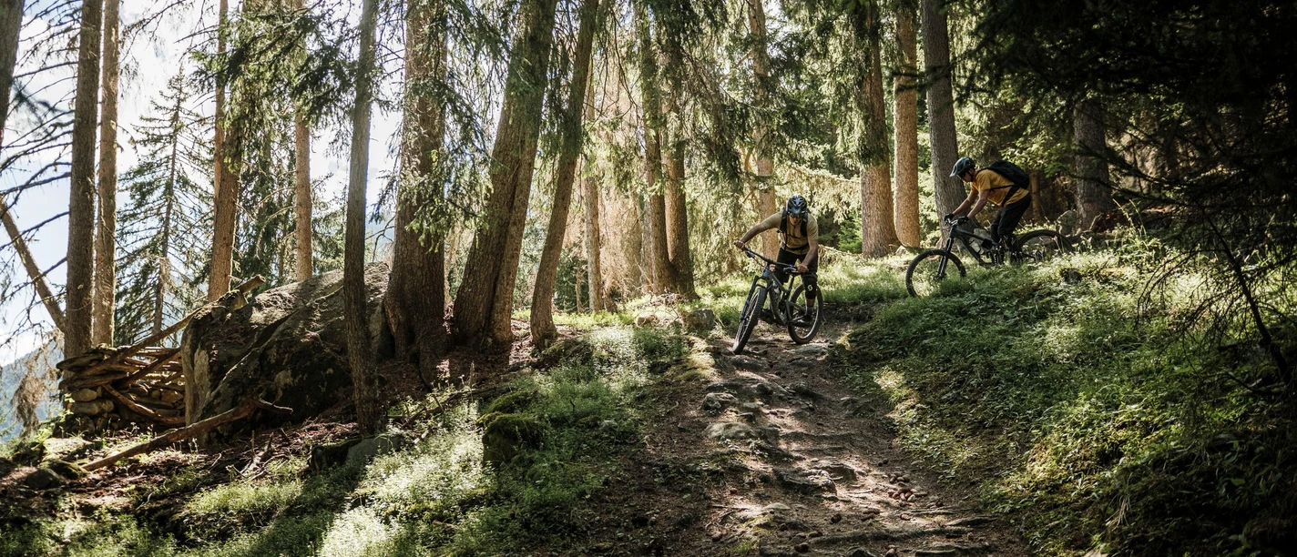 2. Etappe: Fiescheralp - Bättmerhitta - Martisberg - Lax - Fiesch