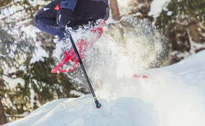 Spass im Pulverschnee