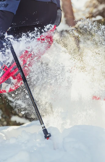 Spass im Pulverschnee