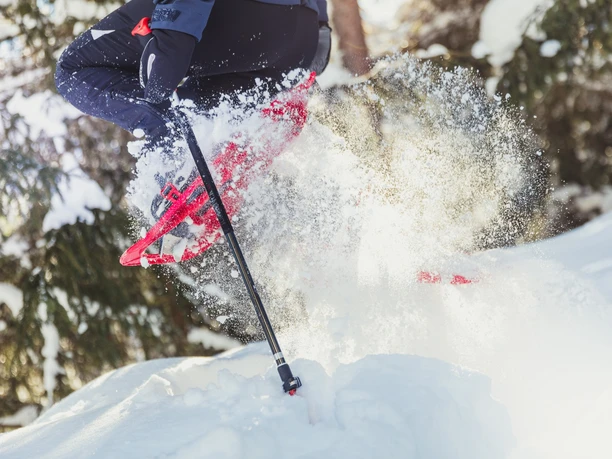 Spass im Pulverschnee