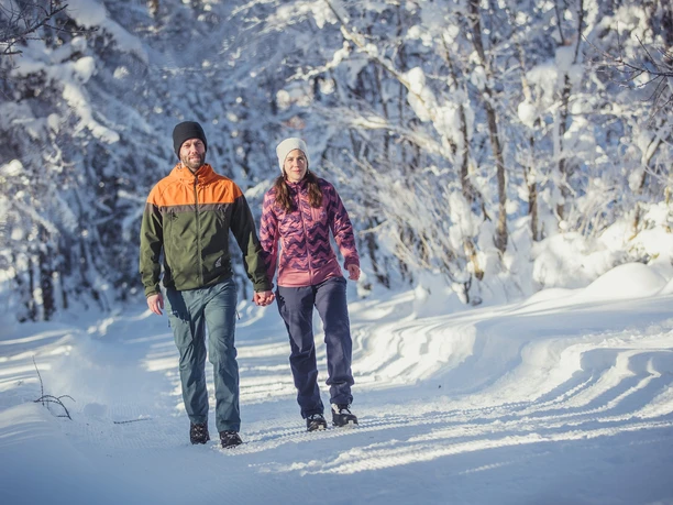Gemütliche Winterwanderung durch den Wald
