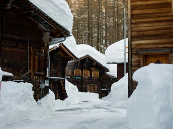 Verschneites Oberwald