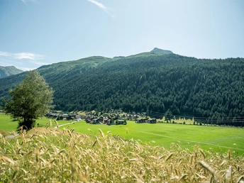 Bergdorf Obergesteln im Sommer